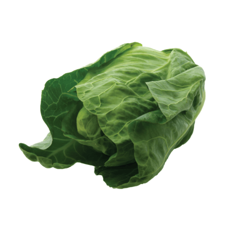 York Cabbage (1 Piece)